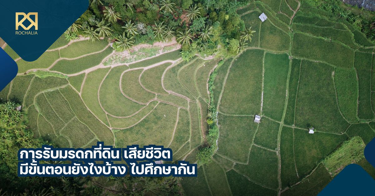 การรับมรดกที่ดิน เสียชีวิต